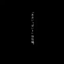 あおいっぱい! 追加ファイル, 日本語