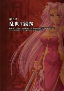 Shin-Koihime Musou Otome Ryouran Sangokushi Engi Perfect Visual Book, 日本語