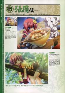 Shin-Koihime Musou Otome Ryouran Sangokushi Engi Perfect Visual Book, 日本語