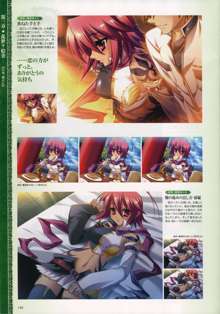 Shin-Koihime Musou Otome Ryouran Sangokushi Engi Perfect Visual Book, 日本語