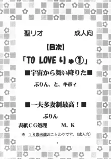 TO LOVEりゅ1, 日本語