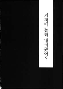 Byoujo no Sho | 병녀의 서, 한국어