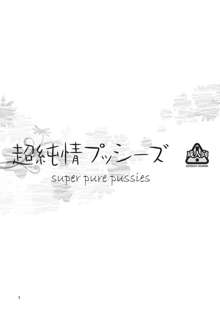 Chou Junjou Pussies | Super Pure Pussies, English