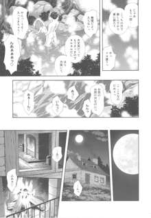 もえもえクエストZ Vol.4, 日本語