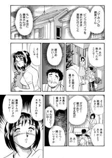 ひみつ妻, 日本語