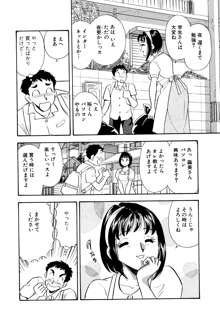 ひみつ妻, 日本語