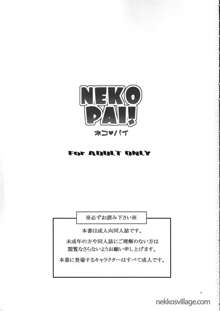 NEKOPAI!, English