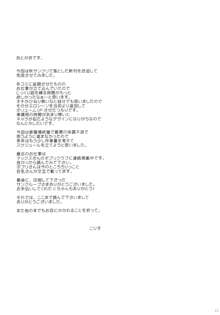 少女に声をかける事案が発生, 日本語