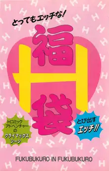 コンプティーク増刊号 ちょっとＨな福袋, 日本語