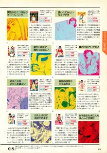 コンプティーク増刊号 ちょっとＨな福袋, 日本語