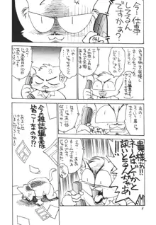 常夏ねこ日記, 日本語