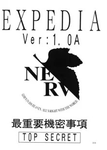 EXPEDIA Ver. 1.0A, 日本語