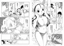 Big breasts Mermaid 2, 中文