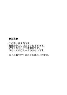 どろぼうはおしおきのはじまり, 日本語