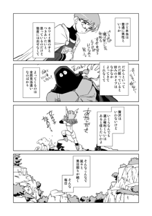 女戦士の秘密, 日本語