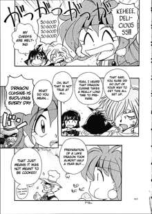 Slayers Trilogy, English