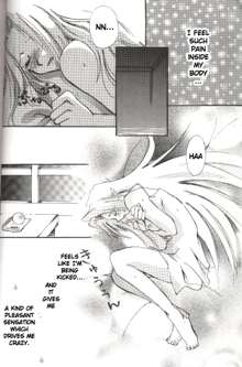 Datenshi / Fallen Angel, English