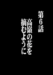 ヴァージンコントロール 高嶺の花を摘むように 6, 日本語