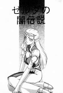 NISE Zelda no Densetsu Prologue, 中文