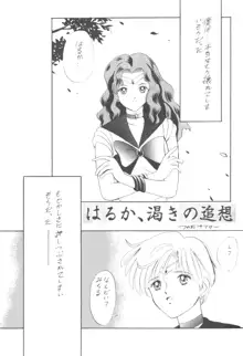 亜美ちゃんバカ一代 天の巻, 日本語