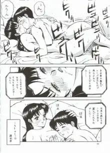 NEXT Climax Magazine 10 Evangelion, 日本語