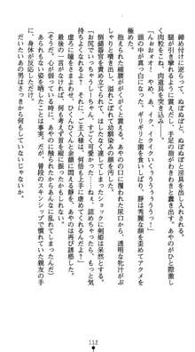 淫辱学園剣姫 穢される誇りと絆, 日本語