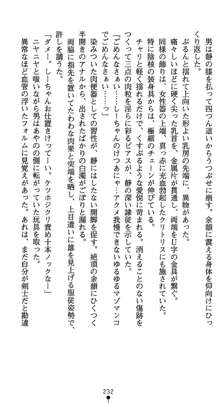 淫辱学園剣姫 穢される誇りと絆, 日本語