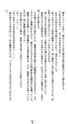 淫辱学園剣姫 穢される誇りと絆, 日本語