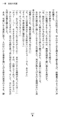 淫辱学園剣姫 穢される誇りと絆, 日本語