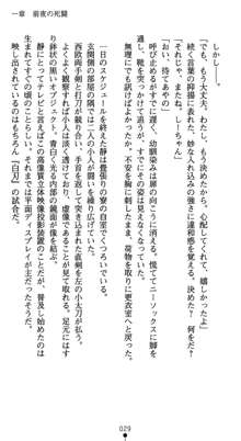 淫辱学園剣姫 穢される誇りと絆, 日本語