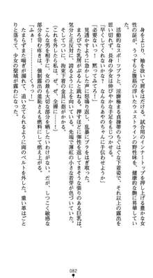 淫辱学園剣姫 穢される誇りと絆, 日本語