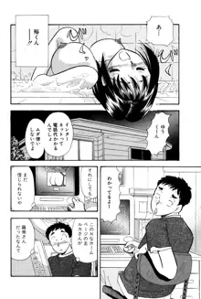 ひみつ妻2, 日本語