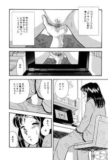 ひみつ妻3, 日本語