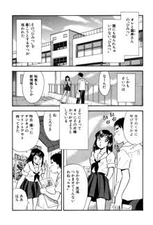 ひみつ妻4, 日本語