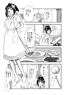 ひみつ妻5, 日本語