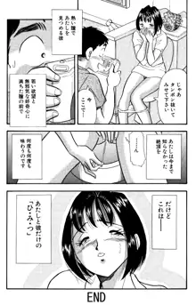 ひみつ妻5, 日本語