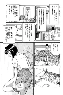 ひみつ妻5, 日本語