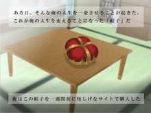 誰もが従う王様帽子～ある日。俺は誰もをいいなりにできる王様になった～, 日本語