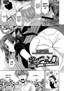 Ero-manga Mitai na Koi Shiyou - Let's Fall in Love The Ero-Manga, Tiếng Việt