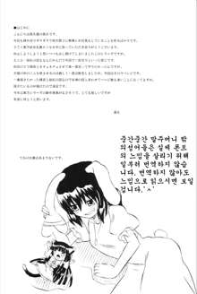 Touhou Youjo Ranbu 6, 한국어