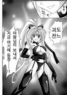 ROGUE SPEAR 2, 한국어