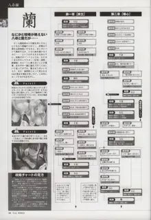 Tony WORKS 御魂～忍～／ARCANA～光と闇のエクスタシス～二作品原画集, 日本語