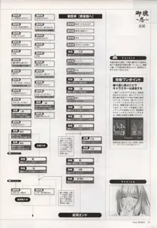 Tony WORKS 御魂～忍～／ARCANA～光と闇のエクスタシス～二作品原画集, 日本語