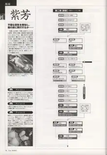 Tony WORKS 御魂～忍～／ARCANA～光と闇のエクスタシス～二作品原画集, 日本語