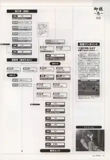 Tony WORKS 御魂～忍～／ARCANA～光と闇のエクスタシス～二作品原画集, 日本語