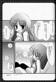 おっぱいとルイズ, 日本語