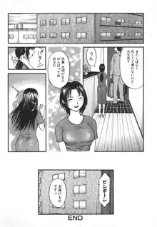 変態少女, 日本語