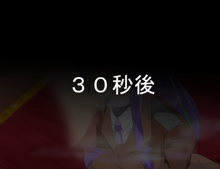 戦闘機人に××なんてある筈が無い!, 日本語