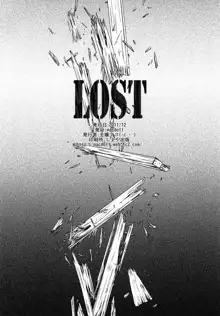 LOST, 中文