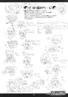 とーほー妄想絵巻, 日本語